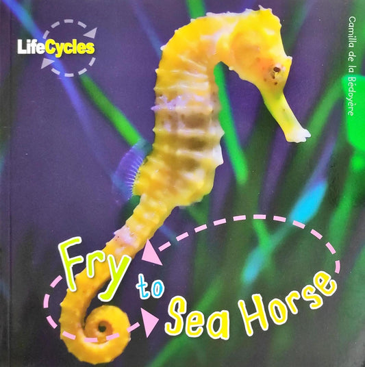 Fry to Sea Horse (Life Cycle)