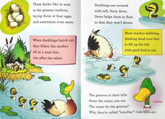 Dr. Seuss Combo Set 8 (6 Books)