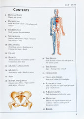 The Human Body