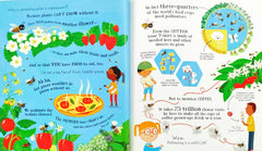 Usborne Can We Really Help the Bees?