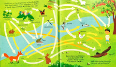 Usborne Can We Really Help the Bees?