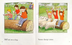 Biff Chip and Kipper Set : Level 2 & 3 (4 Books)