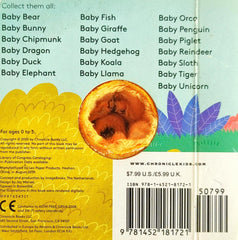 Baby Kitten (Puppet Book)