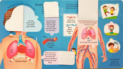 The Busy Body Explore Inside (Flap Book)