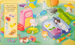 Kittens (Look and Find)