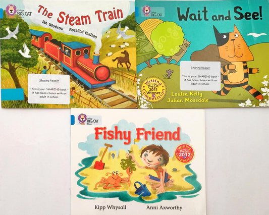 Big Cat Combo Set 6 (3 Books)