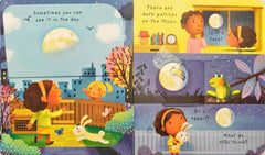 Usborne What is the Moon? (Flap Book)