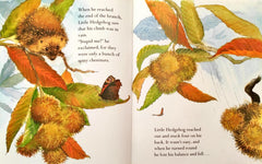 The Prickly Hedgehog