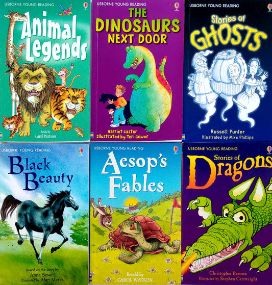Usborne Young Reading Set 11 (6 Books)