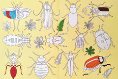 Animal Kingdom Doodle Book