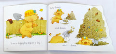 Usborne Phonics Reader Combo Set 40 (5 Books)
