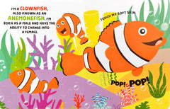 Touch and Feel - Sea Animals