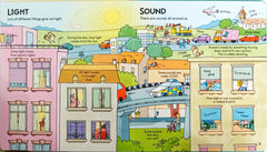 Usborne Lift the Flap Look Inside Science