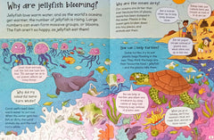 Miles Kelly Combo Set 3 (2 Books)