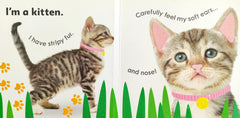 Really Feely Baby Animals