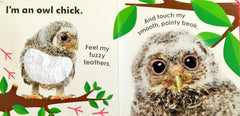 Really Feely Baby Animals