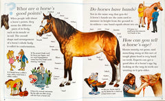 Ponies Lived Underground (I Wonder Why)