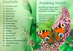Usborne Caterpillars and Butterflies