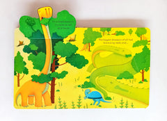 Usborne Peep inside Dinosaurs