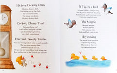 365 Animal Stories and Rhymes for Boys (Chad Valley)