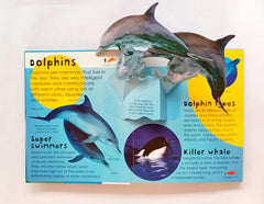 Ocean Picture Pops