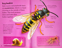 Mad about Bugs