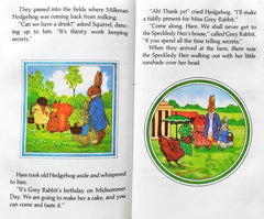 Little Grey Rabbit's Birthday