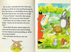 The Hare and the Tortoise