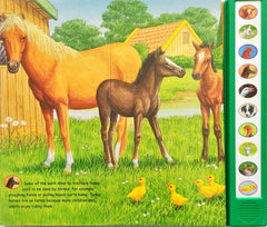 Animal on the Farm (Sound Book)