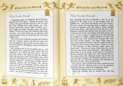 A Treasury of Stories Peter Pan (17 Characters)