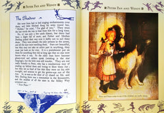 A Treasury of Stories Peter Pan (17 Characters)