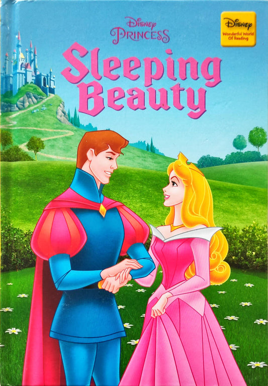 Disney Princess Sleeping Beauty (Wonderful World of Reading)