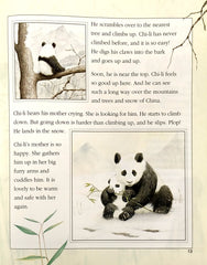 The Walker Bedtime Book