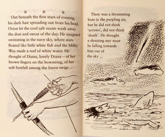 A Shot in the Dark and the Taming of Venus