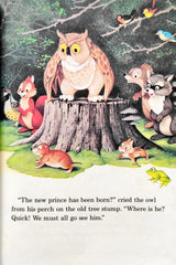 Disney Bambi Grows Up (Wonderful World of Reading)
