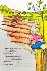 Disney Brer Rabbit and his Friends (Wonderful World of Reading)