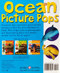 Ocean Picture Pops