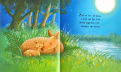 Storybook Combo Set 67 (6 Books)