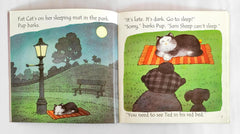 Usborne Phonics Reader Combo Set 11 (3 Books)