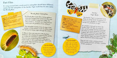 All About Caterpillars and Moths