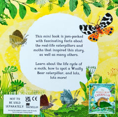 All About Caterpillars and Moths