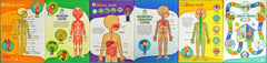 The Human Body