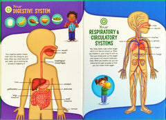 The Human Body