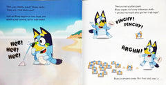 Bluey Combo Set (2 Books)