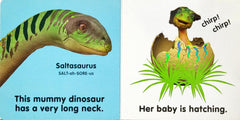 Baby Dinosaur (Touch and Feel)