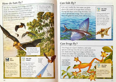 The World of Animals