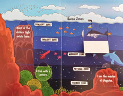 Feature of Earth (Flap Book)