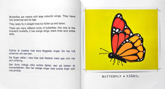 Animal of the Rainforest