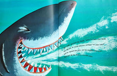 The Shark in the Dark