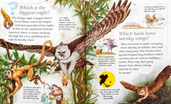 Vultures are Bald (I Wonder Why)